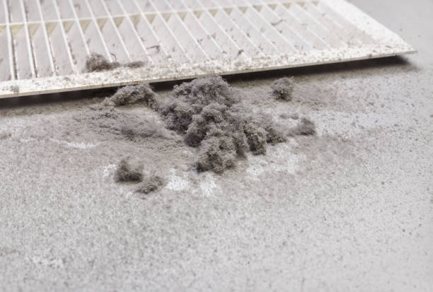 Best Commercial Air Duct Cleaning  in La Vista, NE