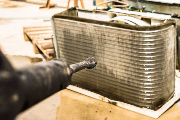 Best Air Duct Mold Removal  in La Vista, NE