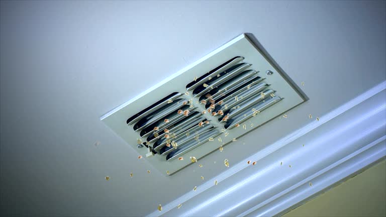 Best Ventilation Cleaning Services  in La Vista, NE