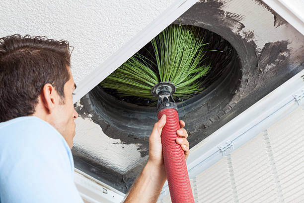 Best Affordable Duct Cleaning Services  in La Vista, NE